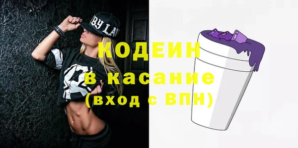 мдпв Каменка