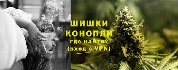 мдпв Каменка