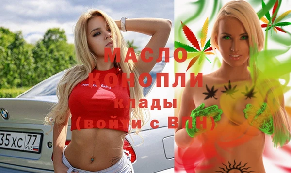 мдпв Каменка