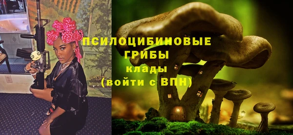 дурь Каменск-Шахтинский