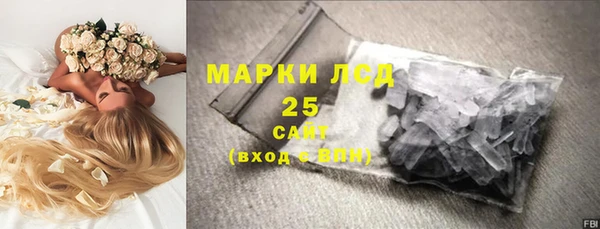 мдпв Каменка