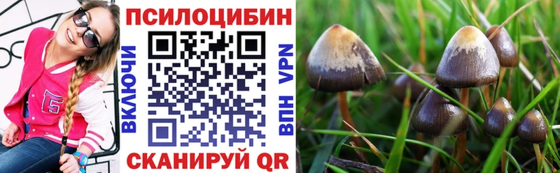 Галлюциногенные грибы Magic Shrooms  Купить закладки  Дубовка 